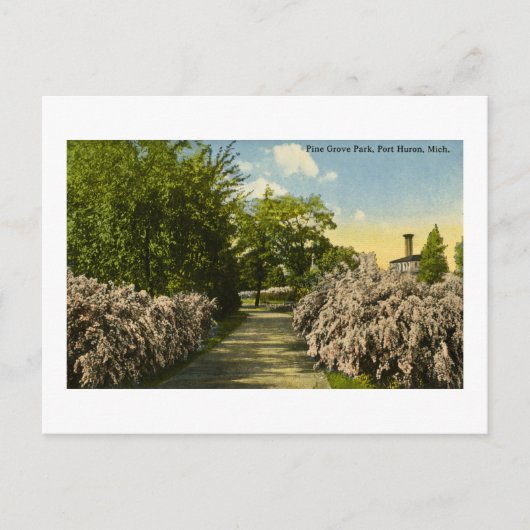 パイングローブパークポートヒューロンミシガンヴィンテージ ポストカード (正面)