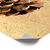 パインコーンアンドジョンミュア引用文 ポスター (角)