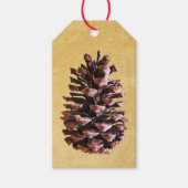 パインコーンオンヴィンテージ紙 ギフトタグ (正面)