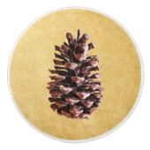 パインコーンオンヴィンテージ紙 セラミックノブ (正面)