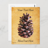 パインコーンオンヴィンテージ紙 ポストカード (正面/裏面)