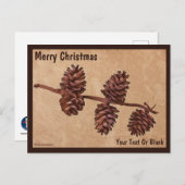 パインコーンブランチオンオールド紙 ポストカード (正面/裏面)