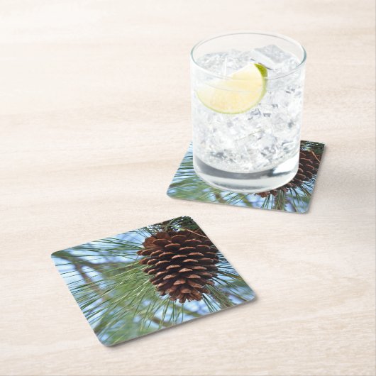 パインコーン再利用可能な紙 スクエアペーパーコースター (インサイチュ)