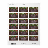 パインコーン素朴ホリデイ差出人住所ラベル ラベル (フルシート)