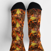 パインコーン葉と秋 ソックス (上部)
