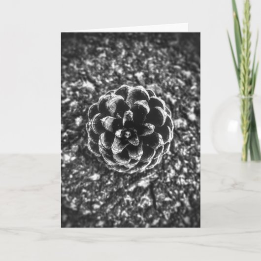 パインコーン カード (正面)