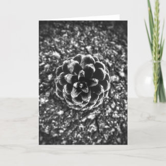 パインコーン カード