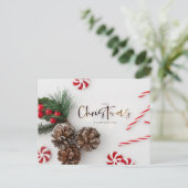 パインコーン&キャンディーケーンの挨拶 シーズンポストカード (スタンド正面)