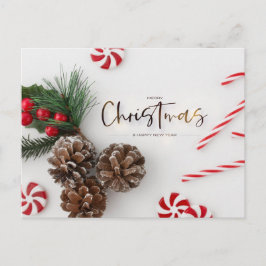 パインコーン&キャンディーケーンの挨拶 シーズンポストカード