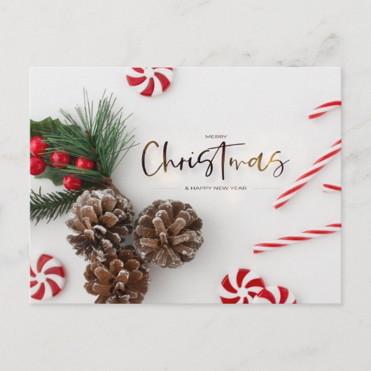 パインコーン&キャンディーケーンの挨拶 シーズンポストカード (正面)