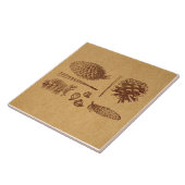 パインコ図解入りの、写真付きのーンヴィンテージピネコーンアート タイル (側面)