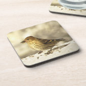 パインシシキン コースター (左側)