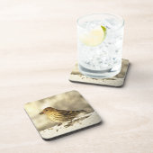 パインシシキン コースター (右側)