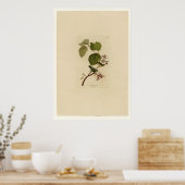 パインスワンプウォーブラー ポスター (キッチン)