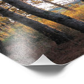 パインズの道 フォトプリント            (角)