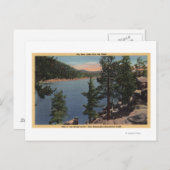 パインズ湖の景色 ポストカード (正面/裏面)