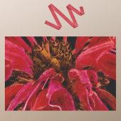 パインターリービビビッド赤ビーベルムフラワークローズアップ 薄葉紙