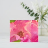 パインターリー抽象芸術ピンクノックアウトバラ ポストカード (スタンド正面)