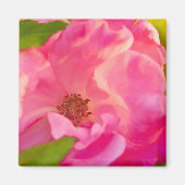 パインターリー抽象芸術ピンクローズ花の写真 マグネット (正面)