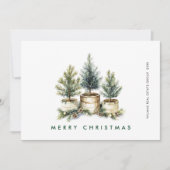 パインツリーエレガントクリスマス会社の挨拶 シーズンカード (正面)