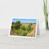 パインツリーキャニオンランドスケープ カード (正面)