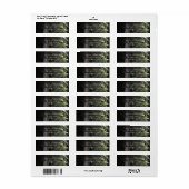 パインツリーフォレスト素朴ウッズ結婚式招待状 ラベル (フルシート)