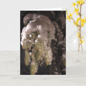 パインツリーブランチで覆われた雪の休日空白の カード (黄色い花)