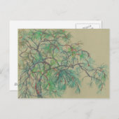 パインツリーブランチ、フローラアートノーザンボタニーグリーン ポストカード (正面/裏面)
