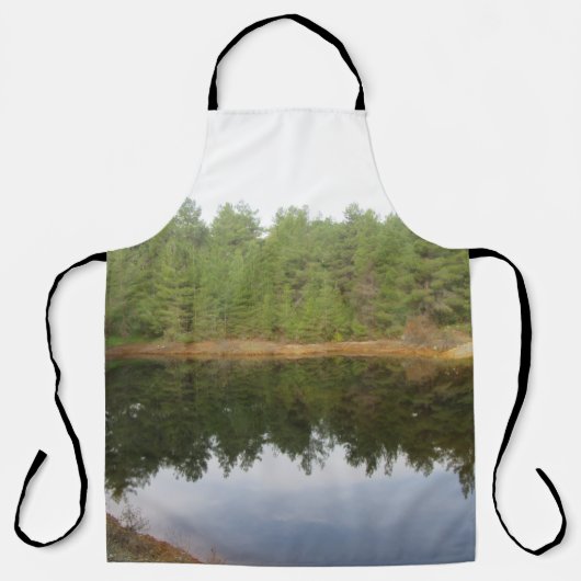 パインツリーリフレクションレイク エプロン (正面)