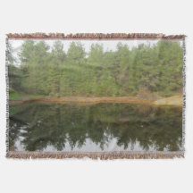 パインツリーリフレクションレイク