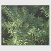 パインフォレストラッピング紙 ラッピングペーパー (フラット)