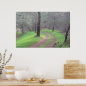 パインフォレストロード ポスター (キッチン)