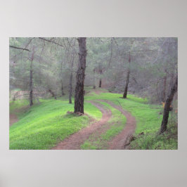 パインフォレストロード ポスター