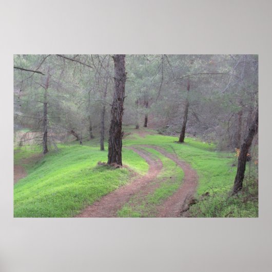 パインフォレストロード ポスター (正面)