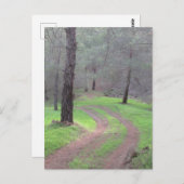 パインフォレストロード ポストカード (正面/裏面)