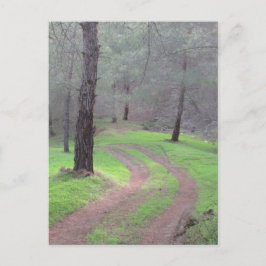 パインフォレストロード ポストカード
