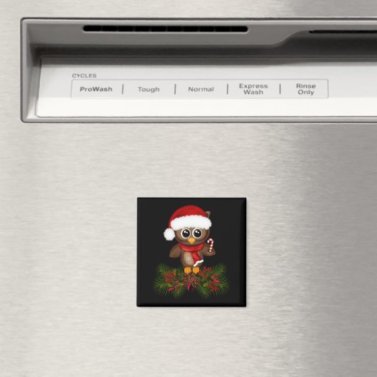 パインブランチマグネット上かわいいクリスマスフクロウ マグネット (インサイチュ (食洗機))