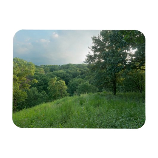 パインベンドブラフの谷の森を見下ろす マグネット (横)