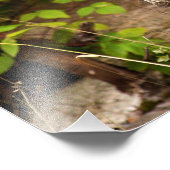 パインマルテンモーニング フォトプリント            (角)