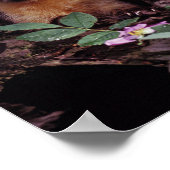 パインマルテン ポスター (角)