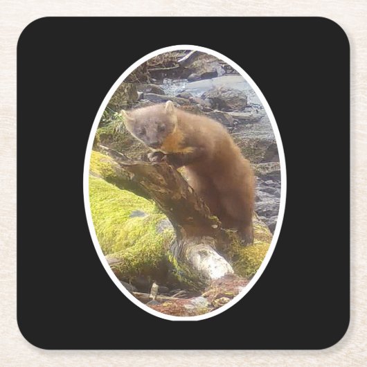 パインマーテンオンログ紙コースター スクエアペーパーコースター (正面)