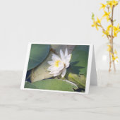 パインレイクウォーターリリー カード (黄色い花)