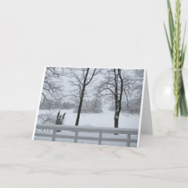 パインレイク#2コーブウィンター カード