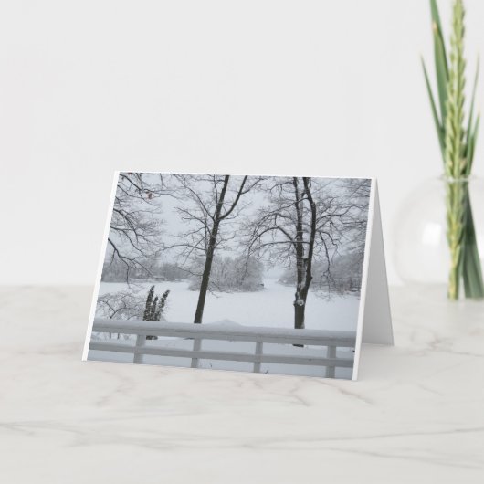 パインレイク#2コーブウィンター カード (正面)