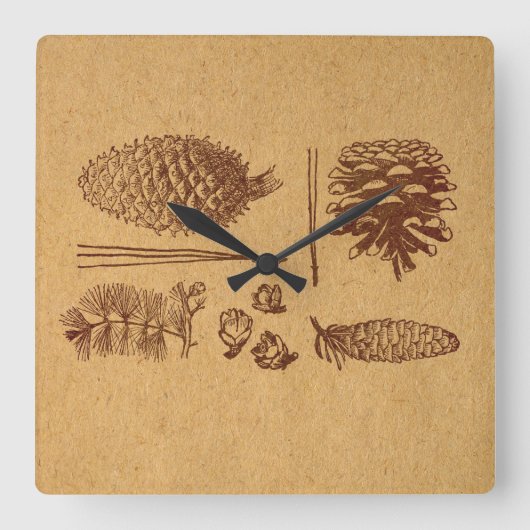 パイン図解入りの、写真付きのコーンヴィンテージピネコーンアート スクエア壁時計 (正面)