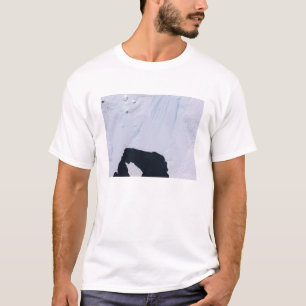 パイン島氷河 Tシャツ