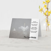 パイン湖の白鳥 カード (黄色い花)