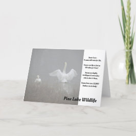 パイン湖の白鳥 カード