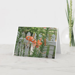 パイン湖リリー カード