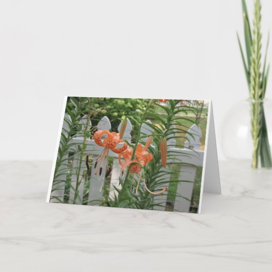 パイン湖リリー カード (正面)